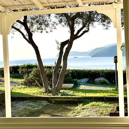 Colibri By Solturelba