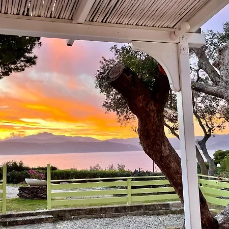 Lejlighed Colibri By Solturelba