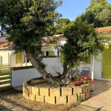Colibri By Solturelba Apartment *